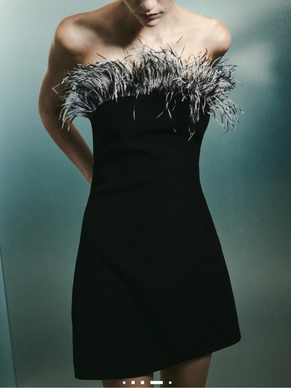 STRAPLESS DRESS WITH FEATHER DETAIL - Picture 1 of 8